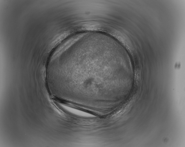 X0000097600397200803141921