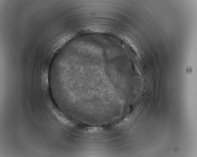 X0000097600398200803141921