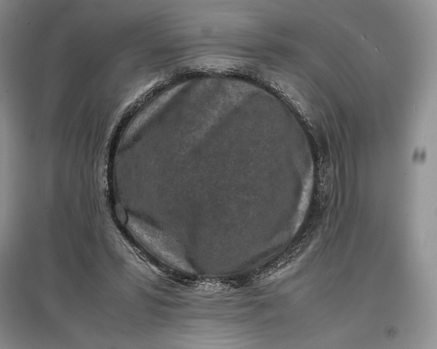 X0000097600399200803141921