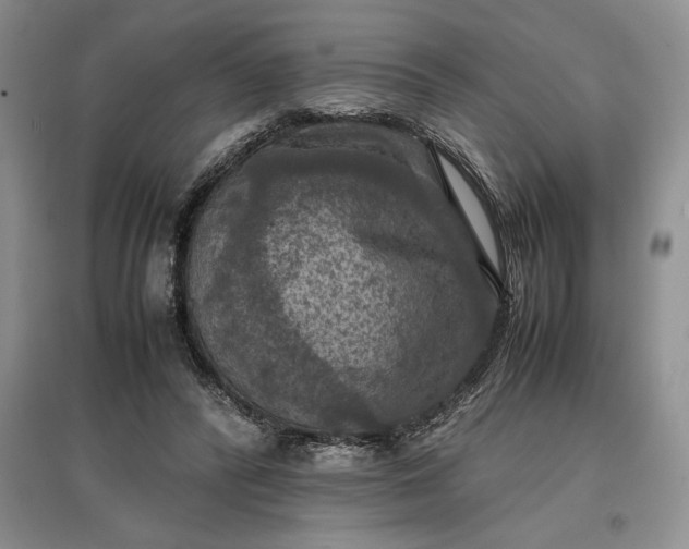 X0000097600400200803141921