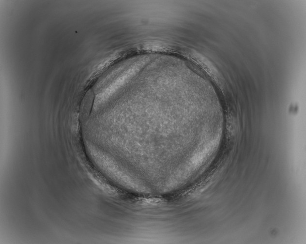X0000097600401200803141921