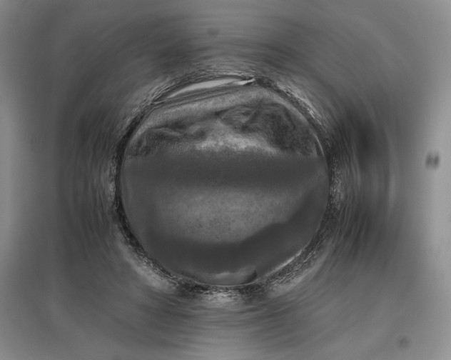 X0000097600402200803141921