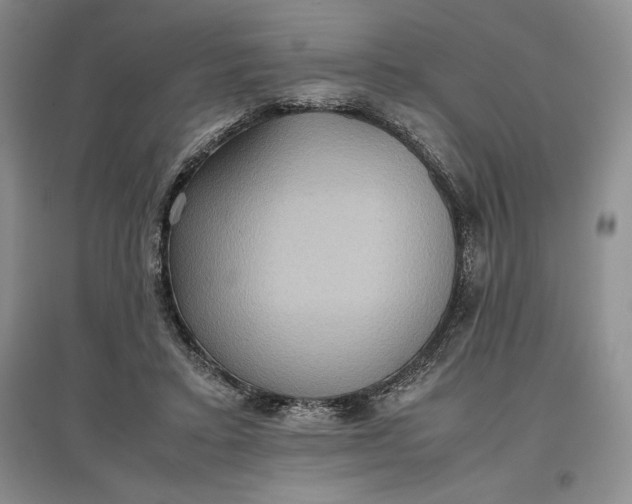 X0000097600403200803141921