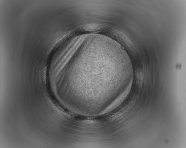 X0000097600404200803141921