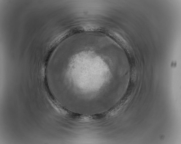 X0000097600405200803141921