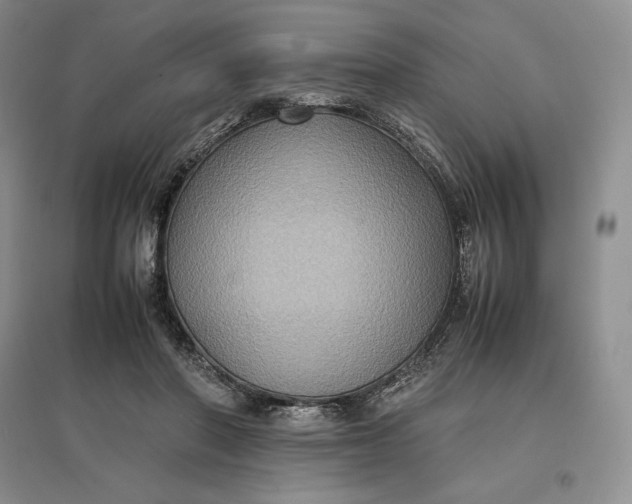 X0000097600406200803141921