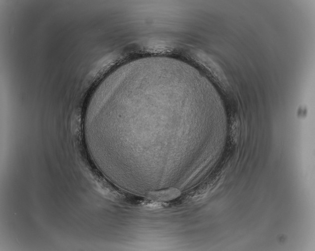 X0000097600407200803141921