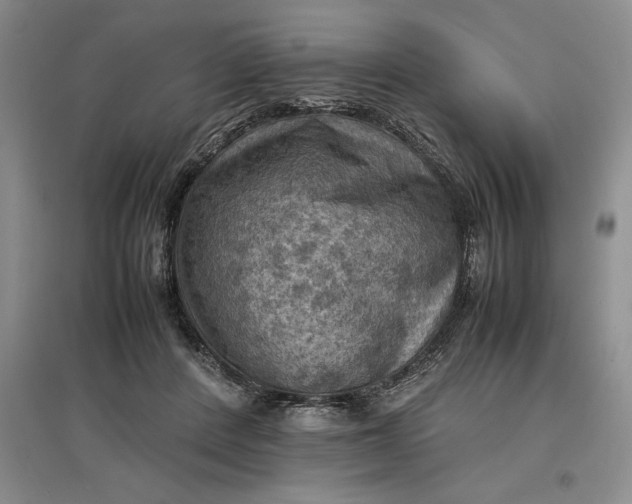 X0000097600408200803141921
