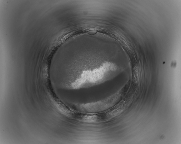 X0000097600410200803141921
