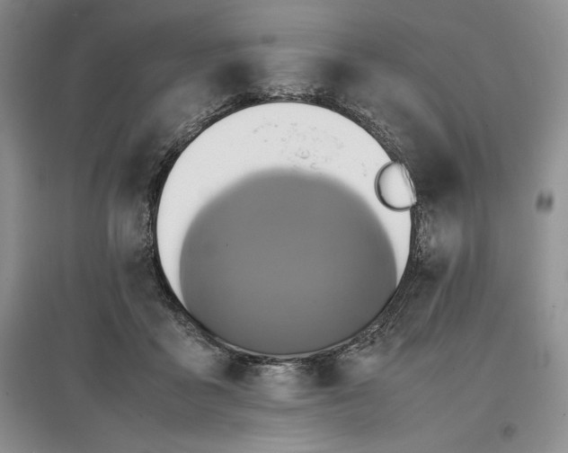 X0000097600411200803141921