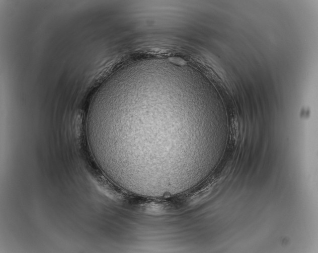 X0000097600412200803141921