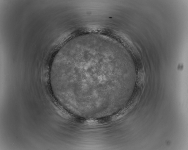 X0000097600413200803141921