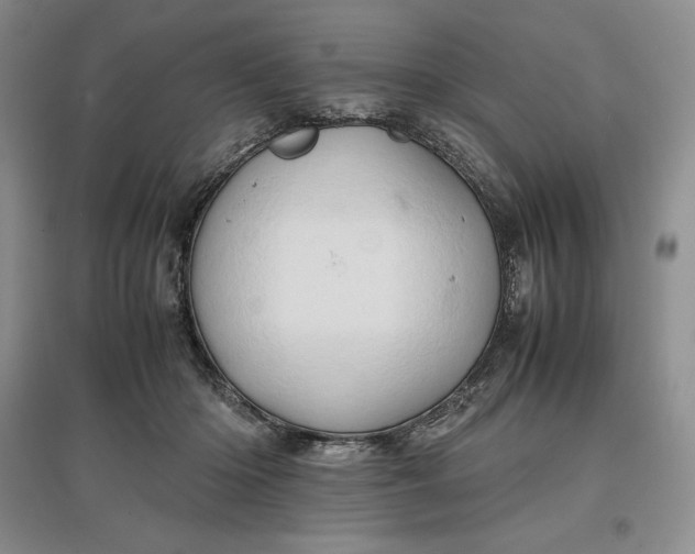 X0000097600414200803141921