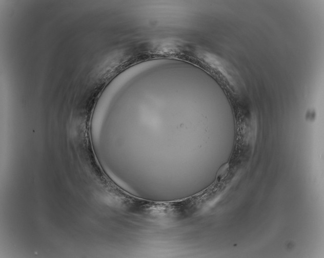 X0000097600415200803141921