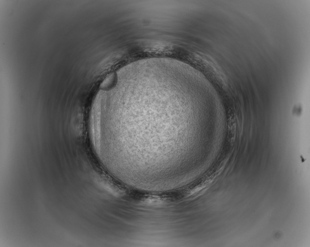 X0000097600416200803141921