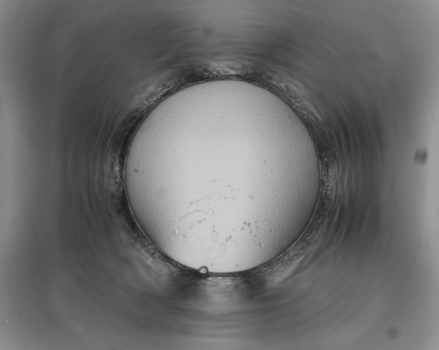 X0000097600418200803141921