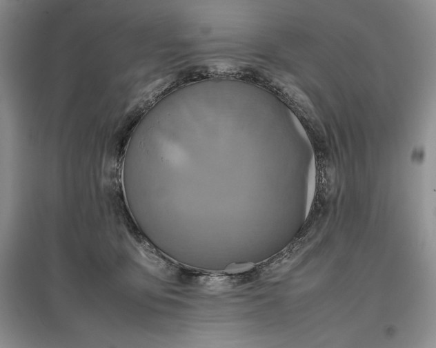 X0000097600419200803141921