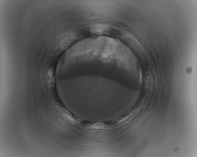 X0000097600420200803141921