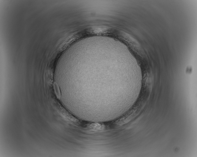 X0000097600421200803141921