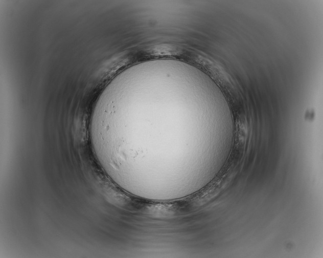 X0000097600422200803141921