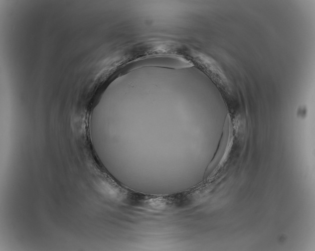 X0000097600423200803141921