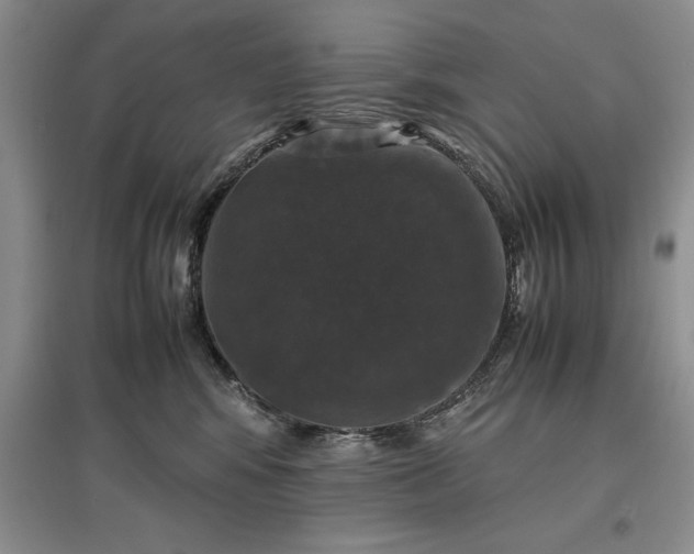 X0000097600424200803141921
