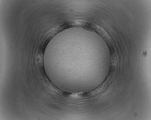 X0000097600425200803141921