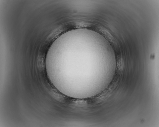 X0000097600426200803141921