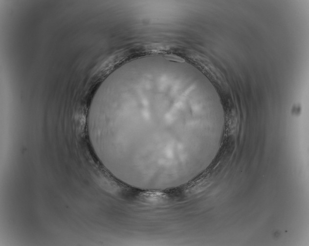 X0000097600427200803141921
