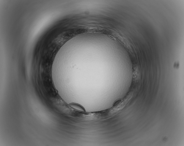 X0000097600430200803141921