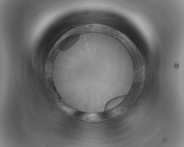 X0000097600431200803141921