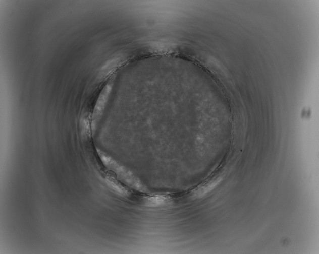 X0000097600432200803141921