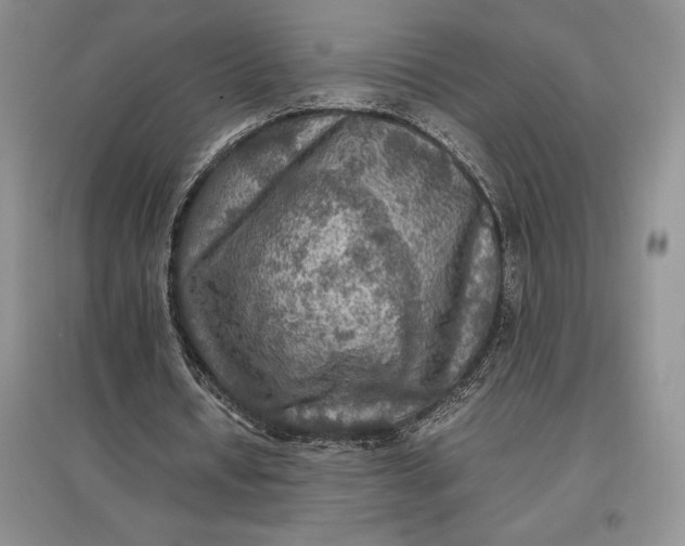 X0000097600434200803141920