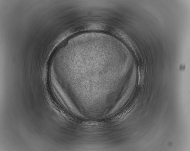 X0000097600435200803141920