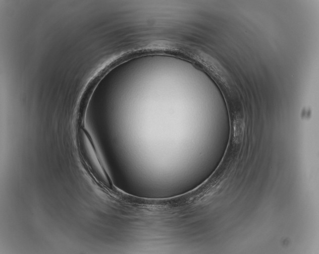 X0000097600436200803141920