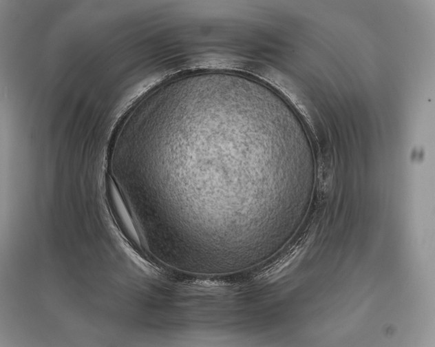X0000097600437200803141920