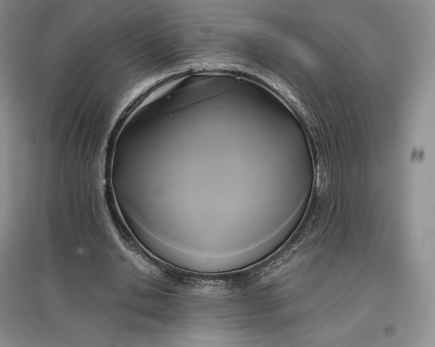 X0000097600438200803141920