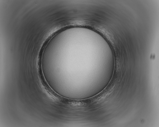 X0000097600439200803141920