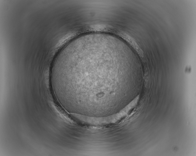 X0000097600442200803141920