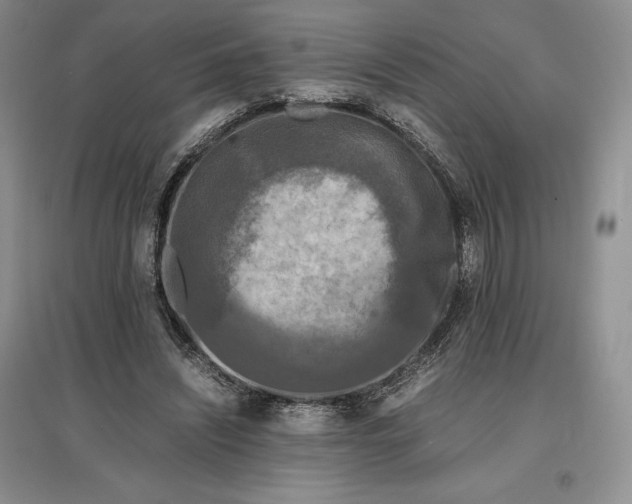 X0000097600444200803141920