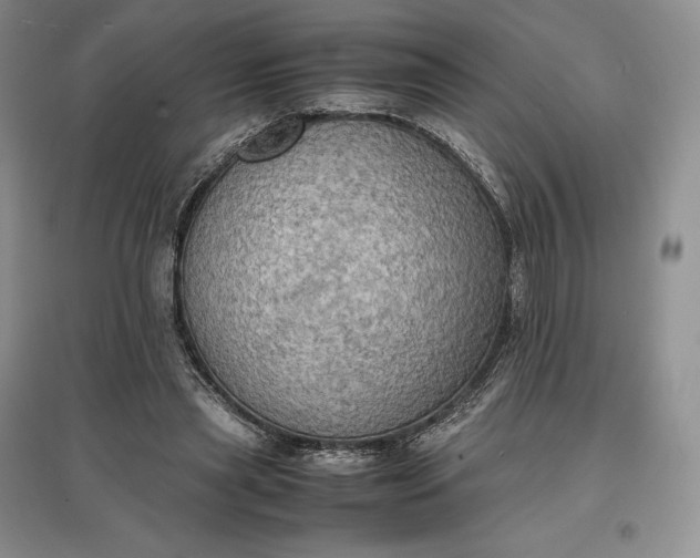 X0000097600445200803141920
