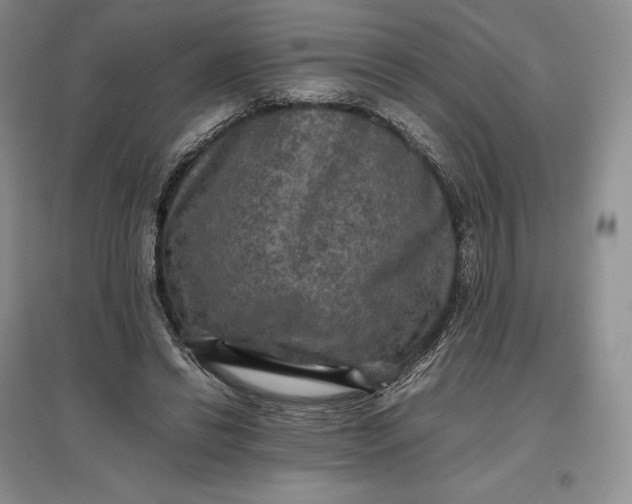 X0000097600446200803141920