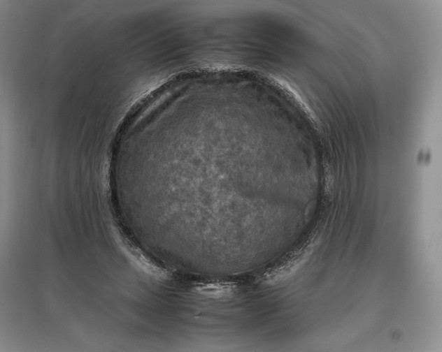 X0000097600447200803141920