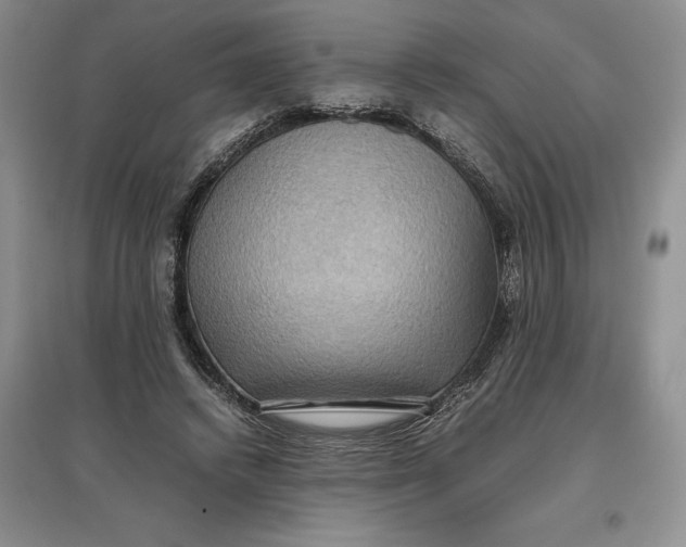 X0000097600448200803141920