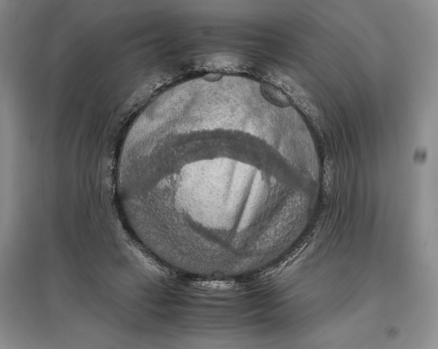 X0000097600449200803141920