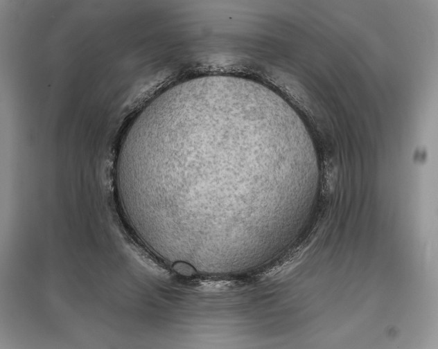 X0000097600450200803141920