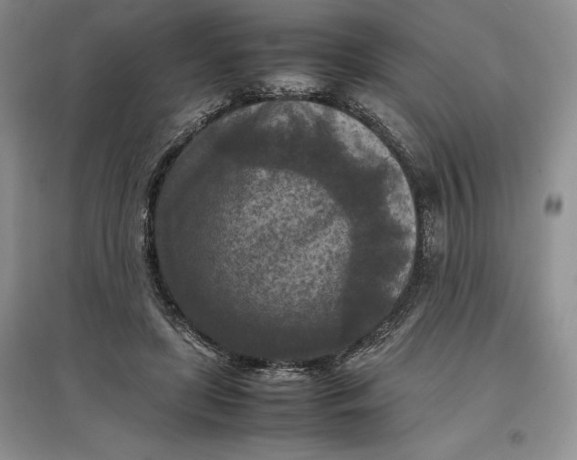 X0000097600451200803141920