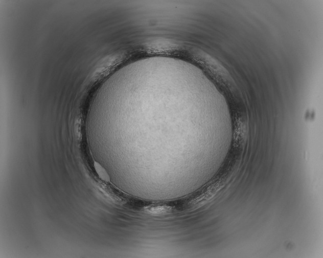 X0000097600452200803141920