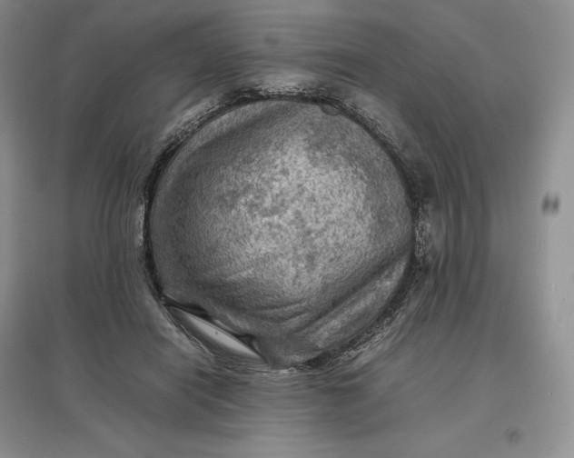 X0000097600454200803141920