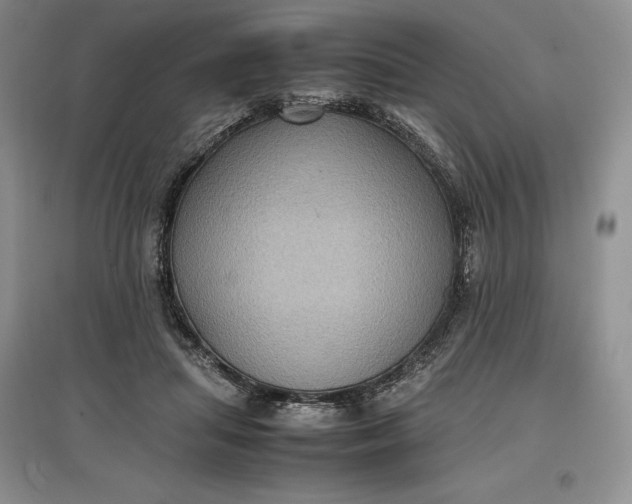 X0000097600455200803141920